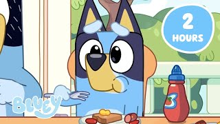 🔴 LIVE: Unwind with the Heelers 💙 | Wholesome Family Moments with Bluey | Bluey