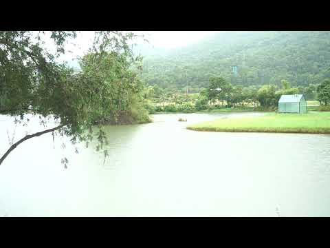 Rain on the Lake| Rain Sounds for Sleeping | Relaxation and Sleep Better😴