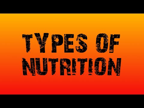 Mode of Nutrition