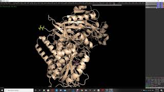 Pymol  Tutorial - the basics