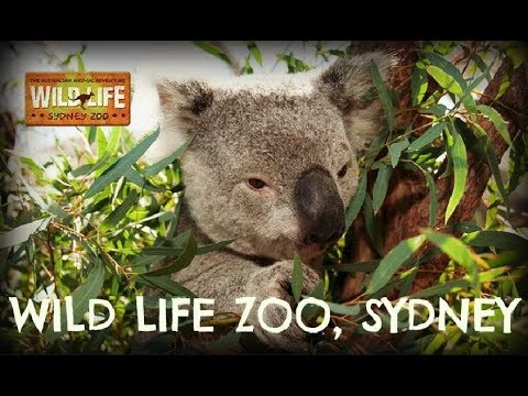 Wild Life Zoo, Sydney Australia - 2018