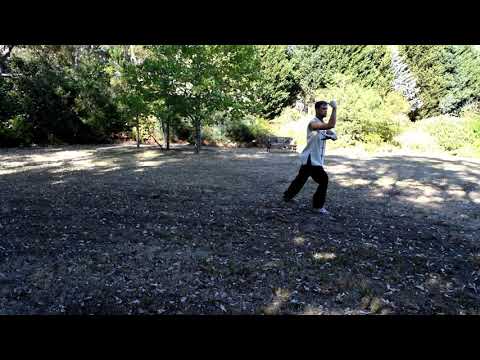 Yang 9 Form, Waterdragonarts Yang Taichi 9 (Progress documentation)
