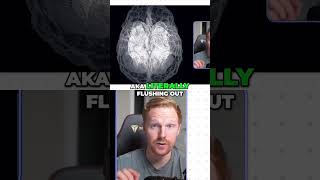 Sleep: Brain Detox & Memory Boost! 🧠✨ Deep sleep cleanses your brain, boosts memory, and balances