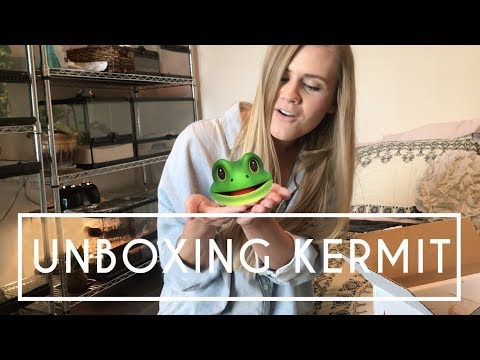 UNBOXING KERMIT | My New Texas Barred Tiger Salamander