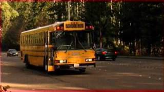 School Bus Stop Rules