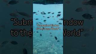 #UnderwaterAdventure #SubmarineView #SealifeExploration #OceanMagic #DeepSeaJourney #MarineLife