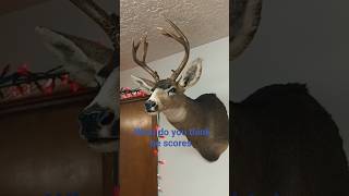 what's your guess on his score?? #deer #hunting #blacktail #whitetail #buckdeer