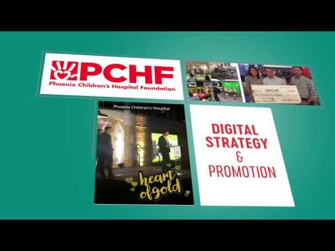 2016 Portfolio Highlight Reel