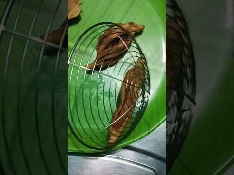 #nimki_recipe #nimki #food #indiansnacks #indiansnackrecipe #desifood #desifoodbloggers #indianfood