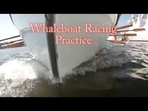 Sea Scout Whaleboat Racing Practice