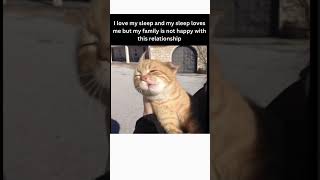#her #felinefeels #catlovers #purrfectlysad #whiskersofsorrow #corpo #love #careerstruggles #sadcat