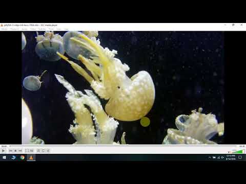How to Convert Video Using VLC
