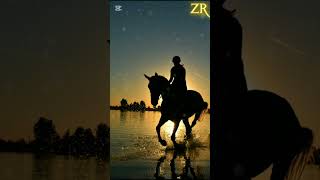 ততক্ষন পযুন্ত যুদ্ধ চলবে...। #hadisbangla #হাদিসের_বাণী #বাংলাহাদিস