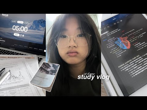 ⋆˙⟡ 48-hour study vlog📎 | revision, homework, study w/ me etc