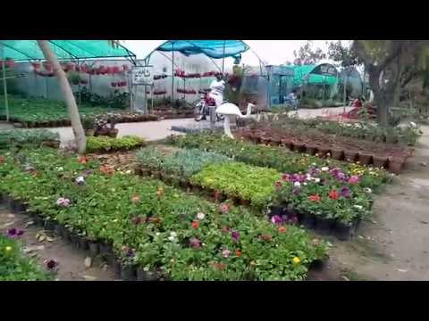 Islamabad Roads and Greenery
