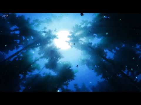 Relaxing Deep Sleep Music 💤 Stress Relief, Meditation "Quiet Earth"