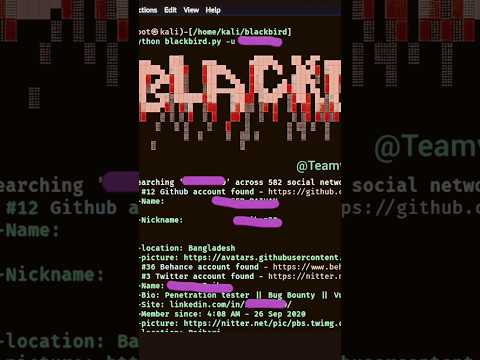 🖤🐦 Unlock the secrets of the Black Bird Tool | Cyber world revealed ⚡💻 #HackersVibes#BlackBirdTool.