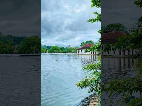 travel srilanka ❤️❤️❤️😍😍😍 kandy wewa rawma  #natural #srilanka #beautiful
