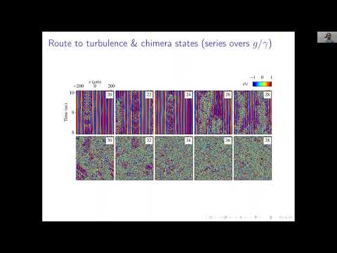 GAVRILOV Sergei, Spontaneous formation of vortices in a spinor polariton fluid with coherent driving