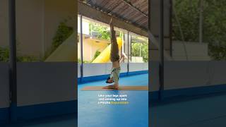 3 advance entry for forearm stand 🧘  #pinchamayurasana #yogateacher #yogapractice #advanceyoga