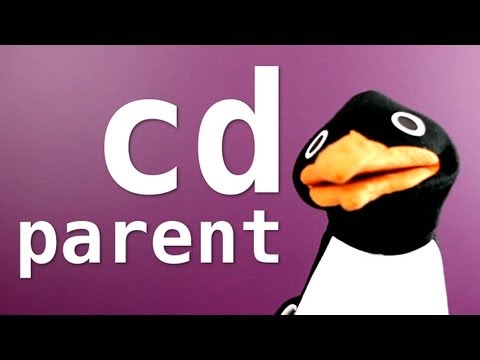 Change Directory cd Parent Directory Shell Command - Bin Bash