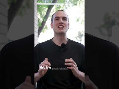 Are you trapped by your web developer?