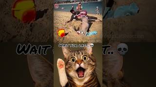 bro's plan 🤣 #cat #meme #funny #technologia