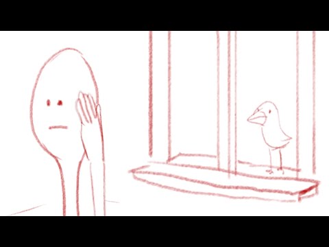 Bird Outside Your Window