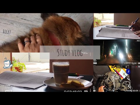 Study vlog | day 41 | a day in the life of UPSC aspirant | rocky 🐶❤️ | family 🕰 ❤️ | geography📖📚