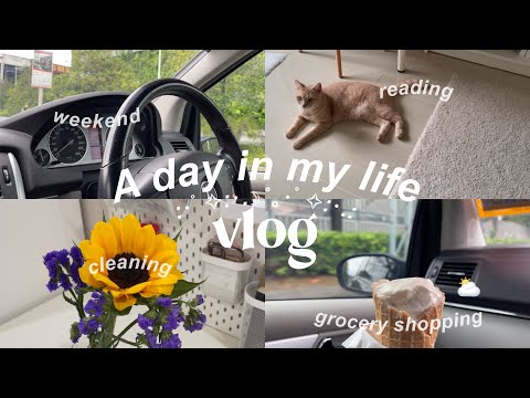 a day in my life vlog ‎🌻🍦🛒 weekend, cleaning, grocery shopping, reading ‎♡‧₊˚