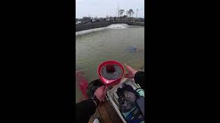 Today’s Goal: Catch 100 Fish!