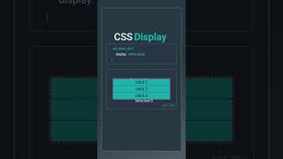 CSS display Property