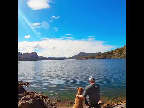 Best Dog Hiking Companion-Golden Doodle #dog #viral #arizona #views