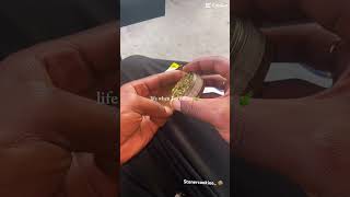#stonervibes #420community #weedtube #highvibes #stayhigh #cannabiscommunity420 #goodvibes