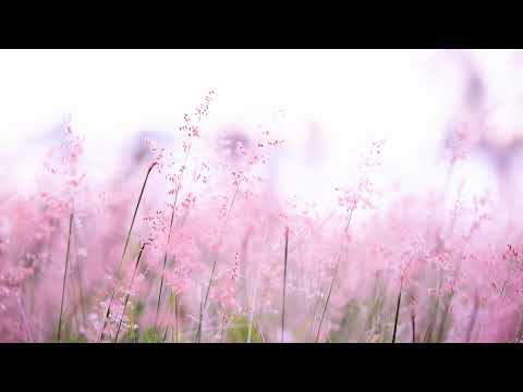 Let's Walk With Jesus Live Stream