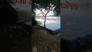 tetep mancing walau grimis #mancing #jaring #mancingmania #fishing