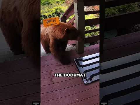 This Doormat Can Save Your Life