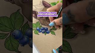 Using markers with colored pencils #coloredpencilart #art #drawwithme #drawing #arttutorial
