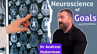 Neuroscience of Goals Explained - Andrew Huberman Lab