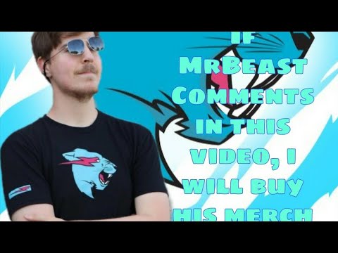If MrBeast comments in this video, i will buy his merch