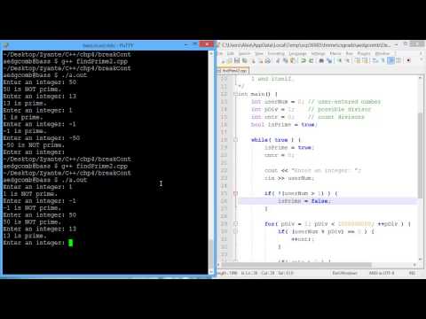 Programming example - Continue statement