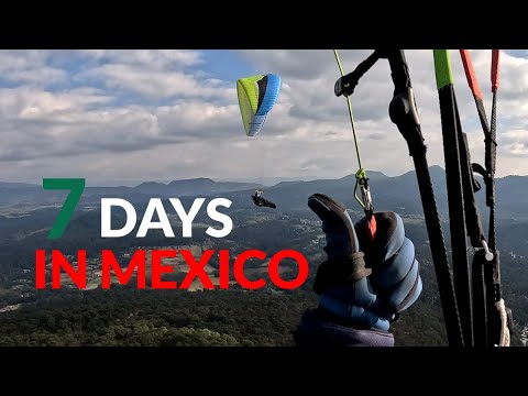 7 DAYS IN MEXICO