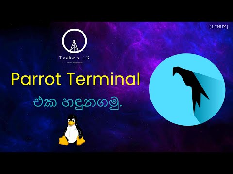 Parrot Terminal එක හඳුනගමු - Parrot Terminal explain in Sinhala | Techසර LK