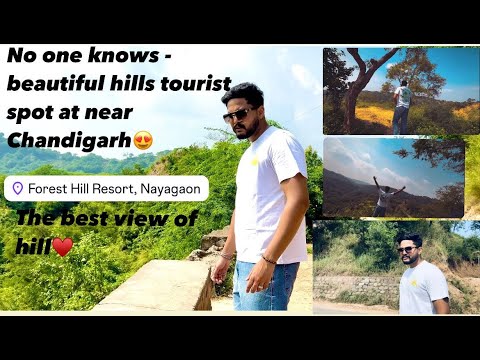 Hill Resort in Chandigarh #touristspot #chandigarh #chandigarhtourism #gauravvlogs #hillstation