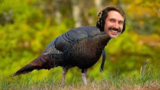 Thanksgiving Special - TheStandup
