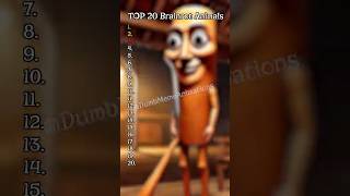 TOP 20 Italian Brainrot Animals (COMPLETE LIST)