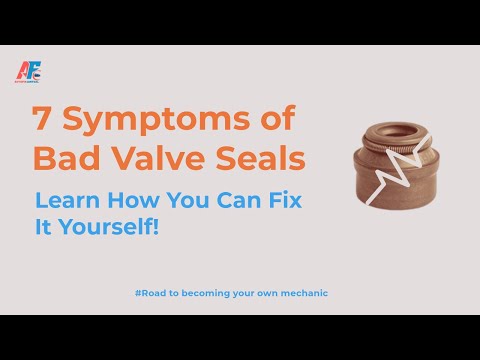 Symptoms of Bad Valve Seals | Auto Fix Central