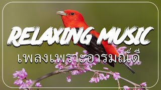 ดนตรีบำบัดความเครียด ผสานเสียงธรรมชาติ ช่วยให้จิตใจสงบ เยียวยาจิตวิญญาณ