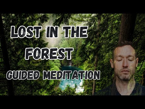 Lost in The Forest Guided Meditation