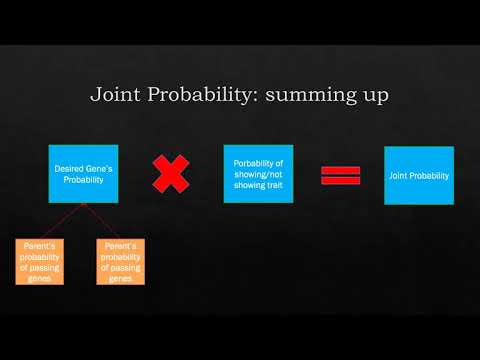 CS50:Python Artificial Intelligence Heredity Solution by Alberto Pascal